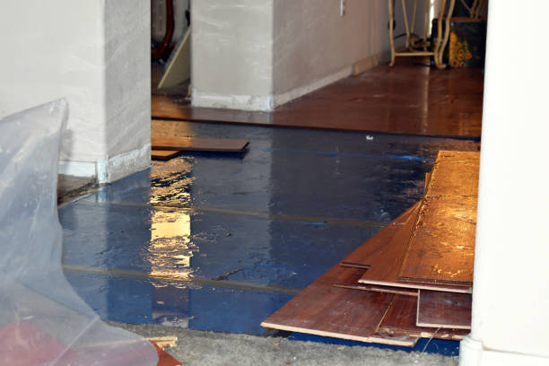 Professional Burst Pipe Cleanup technician working in Harper Woods, MI