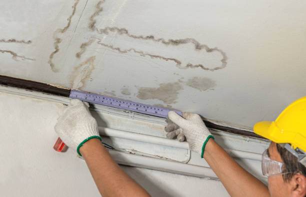 Reliable Burst Pipe Cleanup contractor in Harper Woods, MI by Local Water Damage Repair